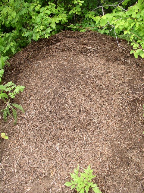 6.10.06 Table Mtn_3CR 073 